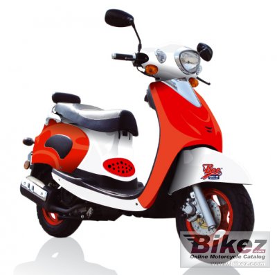 2007 sachs bee 50 photo